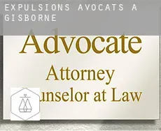 Expulsions avocats à  Gisborne