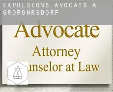 Expulsions avocats à  Großröhrsdorf