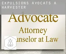 Expulsions avocats à  Harvester