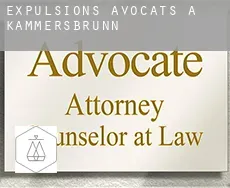 Expulsions avocats à  Kammersbrunn