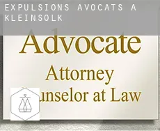 Expulsions avocats à  Kleinsölk