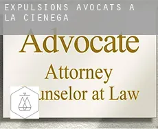 Expulsions avocats à  La Cienega