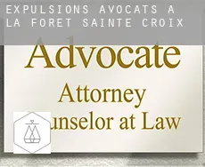 Expulsions avocats à La Forêt-Sainte-Croix