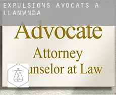 Expulsions avocats à  Llanwnda