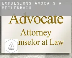 Expulsions avocats à  Meilenbach