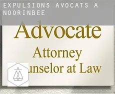 Expulsions avocats à  Noorinbee