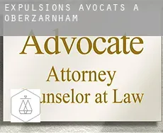 Expulsions avocats à  Oberzarnham