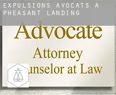 Expulsions avocats à  Pheasant Landing