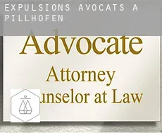 Expulsions avocats à  Pillhofen