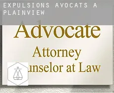Expulsions avocats à  Plainview