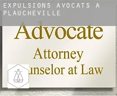 Expulsions avocats à  Plaucheville