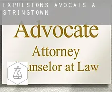Expulsions avocats à  Stringtown
