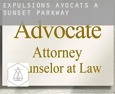 Expulsions avocats à Sunset Parkway