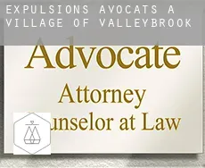 Expulsions avocats à  Village of Valleybrook