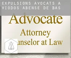 Expulsions avocats à Viodos