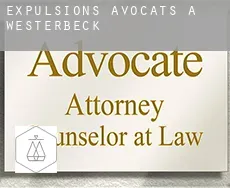Expulsions avocats à  Westerbeck
