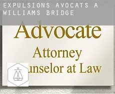 Expulsions avocats à  Williams Bridge