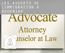 Les avocats de l'immigration à  Bohemian