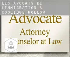 Les avocats de l'immigration à  Coolidge Hollow