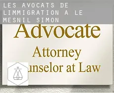 Les avocats de l'immigration à  Le Mesnil-Simon