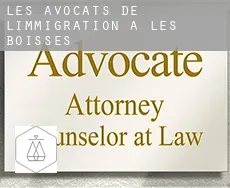 Les avocats de l'immigration à  Les Boisses