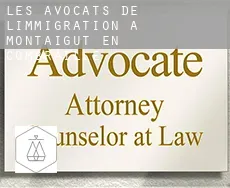 Les avocats de l'immigration à  Montaigut-en-Combraille