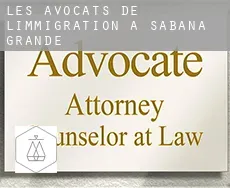 Les avocats de l'immigration à  Sabana Grande