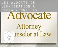 Les avocats de l'immigration à Schwarzenweiler