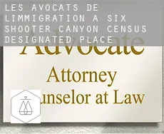 Les avocats de l'immigration à  Six Shooter Canyon