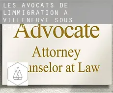 Les avocats de l'immigration à Villeneuve-sous-Charigny
