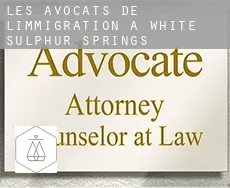 Les avocats de l'immigration à  White Sulphur Springs