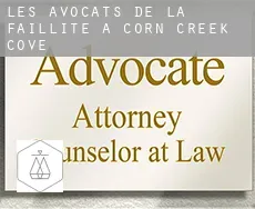 Les avocats de la faillite à  Corn Creek Cove