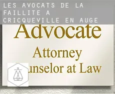 Les avocats de la faillite à Cricqueville-en-Auge