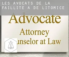 Les avocats de la faillite à de Litoměřice