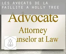 Les avocats de la faillite à  Holly Tree