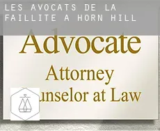 Les avocats de la faillite à  Horn Hill