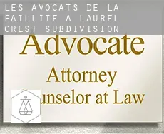 Les avocats de la faillite à  Laurel Crest Subdivision