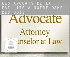 Les avocats de la faillite à  Notre-Dame-des-Bois
