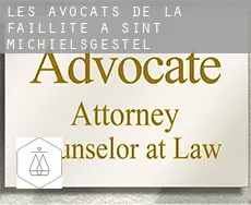 Les avocats de la faillite à Sint-Michielsgestel