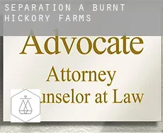 Séparation à  Burnt Hickory Farms