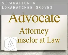 Séparation à Loxahatchee Groves