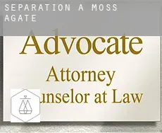 Séparation à  Moss Agate