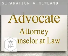 Séparation à  Newland