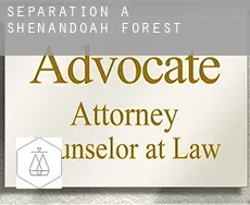 Séparation à  Shenandoah Forest