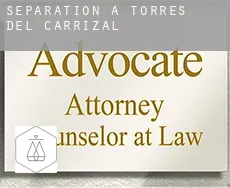 Séparation à  Torres del Carrizal