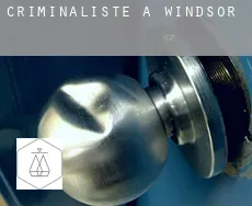 Criminaliste à  Windsor