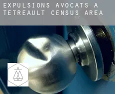Expulsions avocats à  Tétreault (census area)