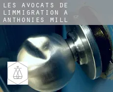 Les avocats de l'immigration à  Anthonies Mill