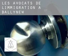 Les avocats de l'immigration à  Ballynew
