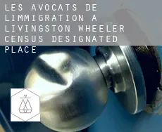 Les avocats de l'immigration à  Livingston Wheeler